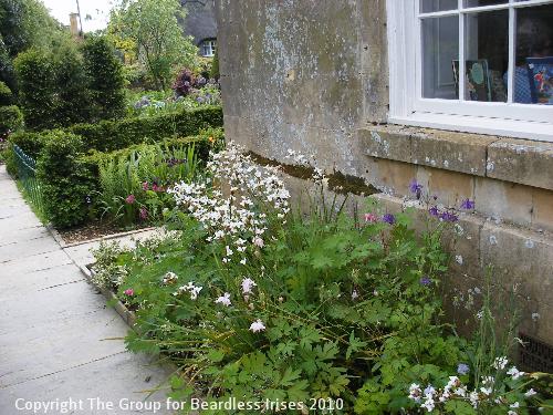 hidcote (00)